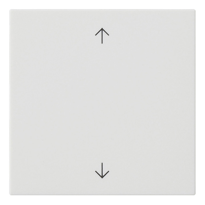 Накладка на жалюзийный выключатель Gira SYSTEM 55, белый матовый, 536127